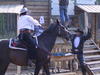 167-6752_IMG.JPG
