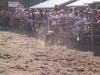 167-6787_IMG.JPG