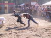 167-6797_IMG.JPG